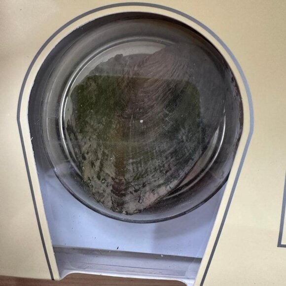 Love Pearl Kit – DIY Oyster & Necklace Set – Open Your Own Pearl - Picture 8 of 8